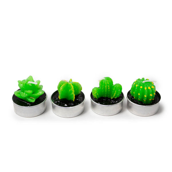 Vela mini cactus